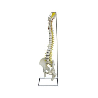 Columna flexible