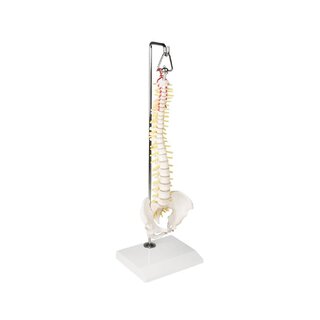 Columna en miniatura sobre soporte para colgar