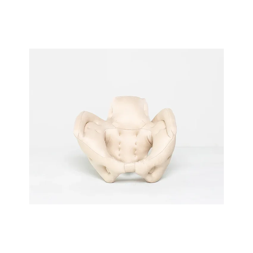 Pelvis femenina hecha de espuma