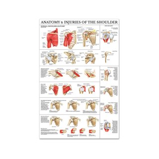 Póster de hombro y codo en película de plástico PET de alto brillo de 51x66 cm