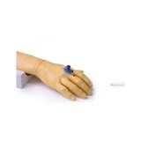 Modelo de brazo de inyección para inyección e infusión intravenosa.