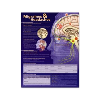 Lámina didáctica Migraña y cefalea, plastificada 51x66 cm (en inglés)
