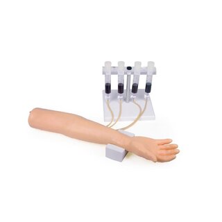 Modelo de brazo de inyección para inyección e infusión intravenosa.