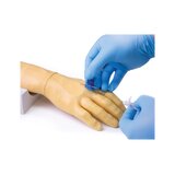 Modelo de brazo de inyección para inyección e infusión intravenosa.