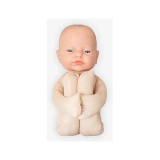 Modelo fetal Modelo anatómico