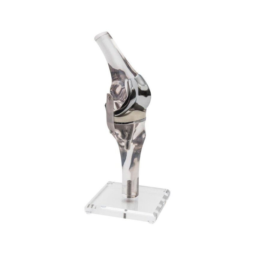 Modelo de rodilla con endoprótesis