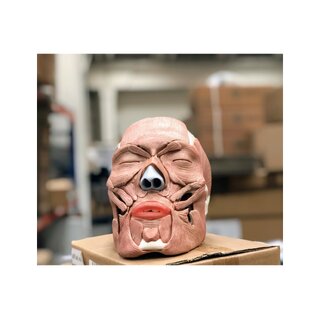 Cráneo de adulto con músculos faciales desmontables en 38 partes