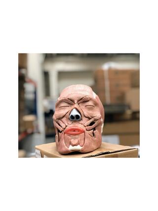 Cráneo de adulto con músculos faciales desmontables en 38 partes
