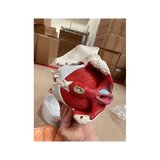 Pelvis femenina con músculos, útero y vejiga
