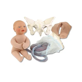 Modelo de nacimiento reducido para la enseñanza