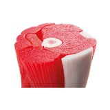 Modelo de rodilla con músculo en 12 partes